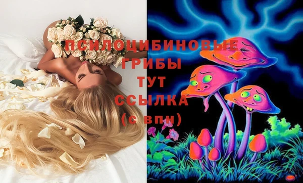 прущая мука Аркадак