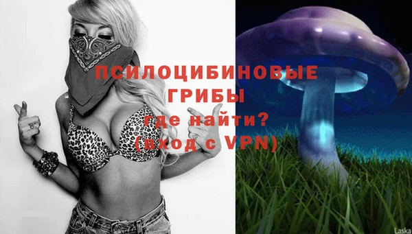 apvp Арсеньев