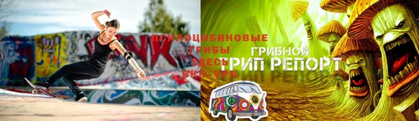 apvp Арсеньев